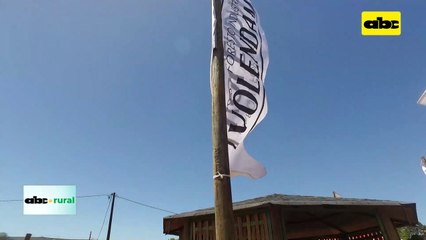 Tomate resistente a ralstonia y nematodos del suelo