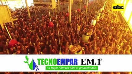 Importancia de las horas luz en la producción de gallinas ponedoras