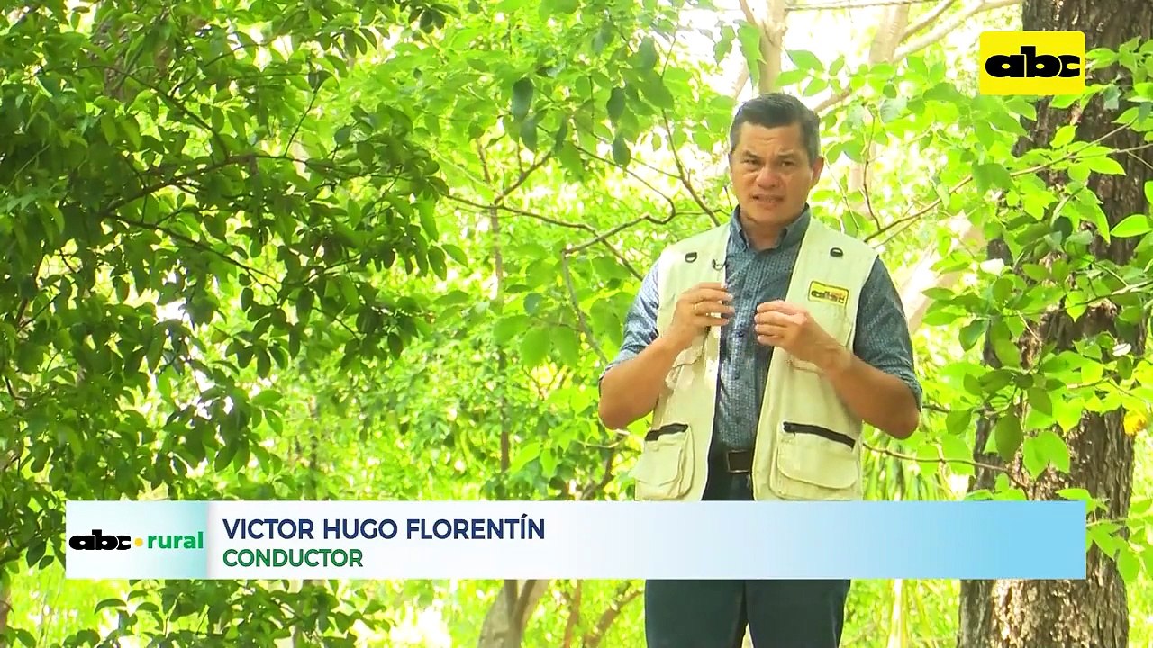 Basf Realizó El Lanzamiento Del Insecticida Pirate