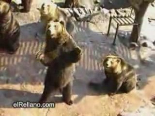 ينادون ويطلبون أكل بطريقة غريبة