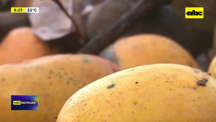 Mini vertederos en barrio Ciudad Nueva