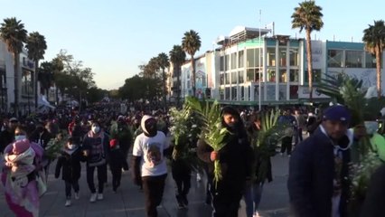 Historica Participacion De Peregrinos