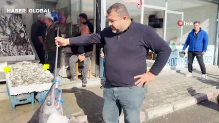 138 kiloluk kılıç balığı ilgi odağı oldu