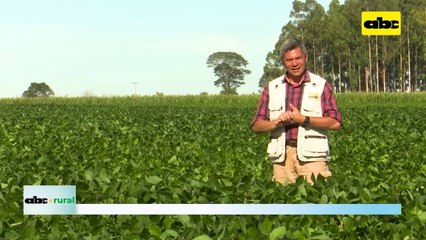 Comercialización de semillas y presentación de trabajos en Cetapar