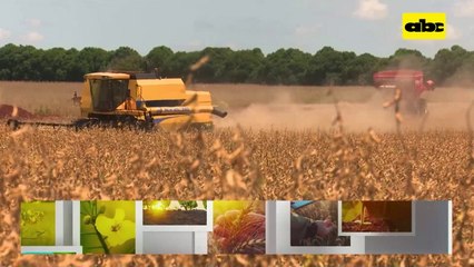 Presentación del V Congreso de Semillas para el año 2023