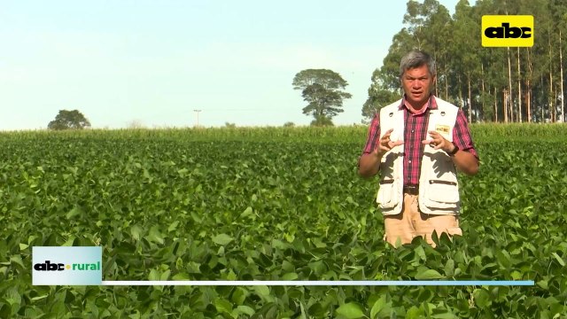 Ventajas de un fertilizante soluble para una mejor llegada de producto