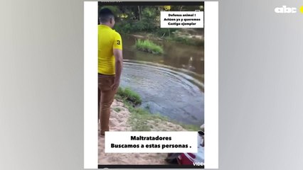 Un joven fue captado arrojando a un perro al arroyo