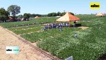 IV Encuentro Agro de Matrisoja en Colonia Fortuna, Alto Paraná