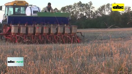 Inbio destaca captación de carbono gracias a siembra directa