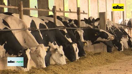 Formulación de raciones con software en ganadería de leche