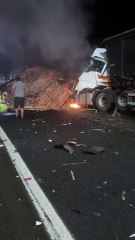 Incêndio na BR-101 em Governador Celso Ramos; VÍDEO