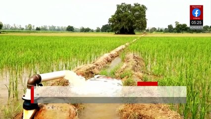 Diputados alistan cambios a la Ley de Aguas tras presión de campesinos