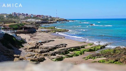 Chi conosce il muschio marino? Benefici e proprietà