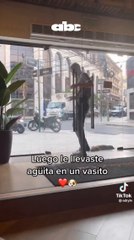 Destacan Gesto De Guardia Que Ayudó A Perrito A Refrescarse