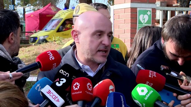 Seis casos de peste porcina africana en jabalíes hallados en Collserola, según el Gobierno