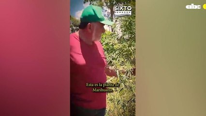 Sixto pereira propone legalizar la marihuana