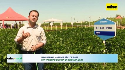 Lanzamiento nueva variedad de soja en jornada de campo