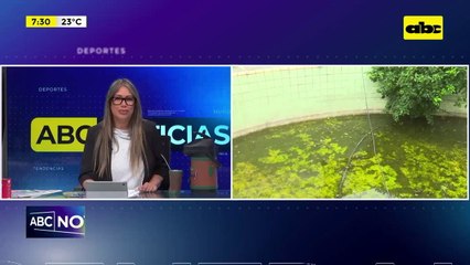 Criaderos de mosquitos