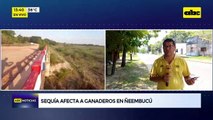 Sequía afecta a ganadero en Ñeembucú