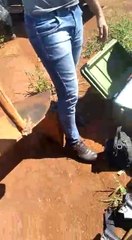 Video: indígenas capturaron a tres policías en Canindeyú y los obligaron a carpir