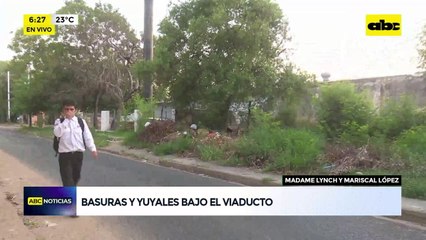 Basural en viaducto de Madame Lynch