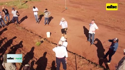 Uso de la siembra directa en producción forestal