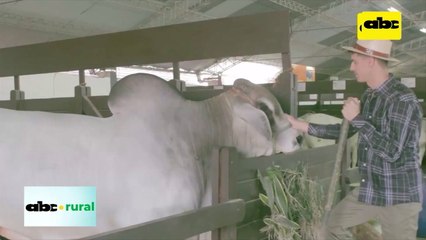 Universidad San Carlos y sus carreras en Bella Vista, Itapúa