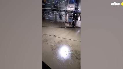 Inundación en Río de Janeiro: yacarés en las calles