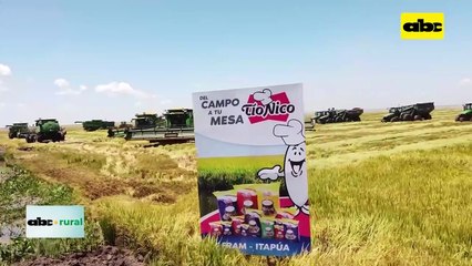 Asesor ambiental explica sobre el buen uso del agua en campos de arroz