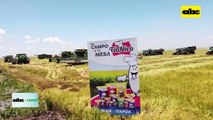 Asesor ambiental explica sobre el buen uso del agua en campos de arroz