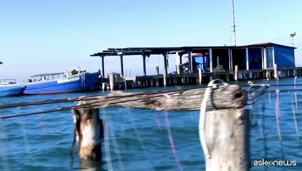 La Rete IZS come presidio essenziale di prevenzione One Health