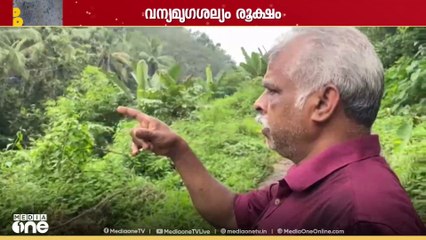 വന്യമൃഗ ശല്യംച സീതത്തോട് പഞ്ചായത്തിലെ വീടുകളിൽ ഇന്ന് ആൾ താമസമില്ല..