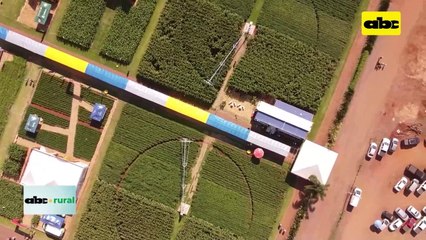 Presidente de Show Rural Coopavel dice que sudamericanos deben trabajar juntos