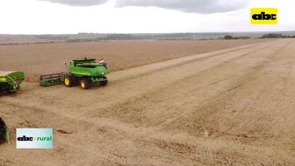 Rendimientos disparejos en cosecha de soja zafra 22/23