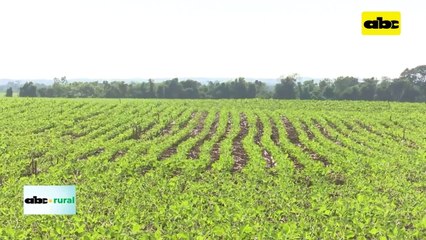 Producto que mejora adherencia y optimiza productos en la aplicación