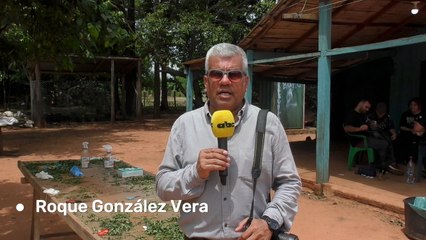 Inédita cosecha pública de marihuana se  realizó  en la comunidad Agüerito