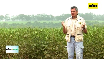 Evaluación de sistema mamario de vaca de primer parto