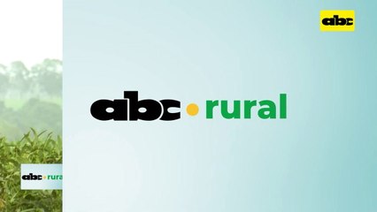 Nutrición y bioestimulacion en soja y maíz en sequía, ¿si o no?