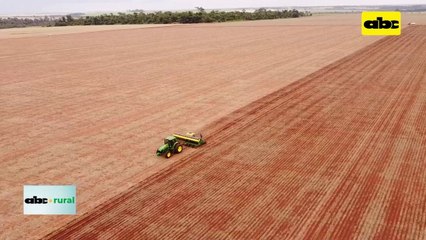 Que tener en cuenta antes de la cosecha en lo referente a uso de productos