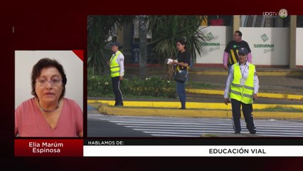 Educación vial | Elia Marúm Espinosa