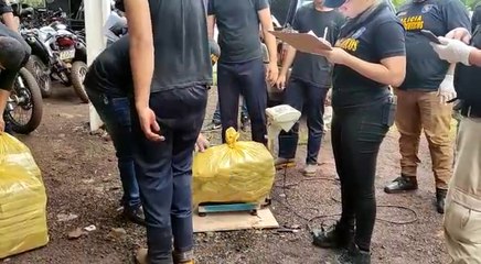 Hallan unos 1.000 kilos de marihuana en bus de turismo