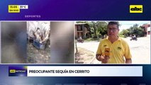 Video: Preocupante sequía en Cerrito