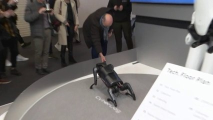 Congreso De Moviles Y Novedades