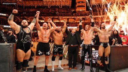 Internal WWE Reaction To Paul Heyman Shoving Fan At WWE Survivor Series