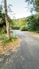 Exclu Dailymotion URBEX zone zoo abandonnée