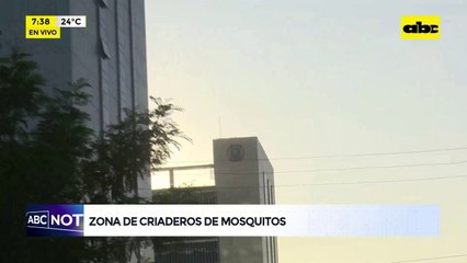 Video: zona de criaderos de mosquitos