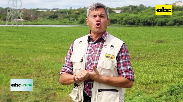 Video: uso de luz y riego para aumentar rendimiento de cultivos