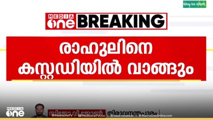 രാഹുൽ ഈശ്വറിനെ കസ്റ്റഡിയിൽ ആവശ്യപ്പെട്ട് പൊലീസ്..