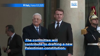 Macron and Abbas announce panel to draft new Palestine constitution after Paris talks