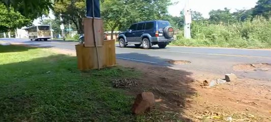 Bache En Areguá